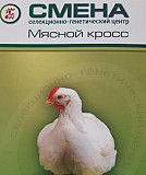 Инкубационное яйцо от сгц Смена Москва