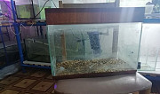 Продам аквариум Минеральные Воды