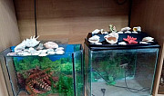 Украшение для аквариума Лениногорск