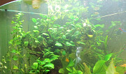 Продам аквариум Чистополь