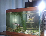 Продам аквариум Братск