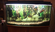 Панорамный аквариум 170л Калининград