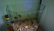 Галька для аквариума Климовск