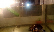 Черепашка с аквариумом Тверь
