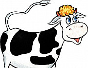 Продаётся стельная корова с телочкой Камызяк