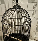Клетка для попугаев Липецк