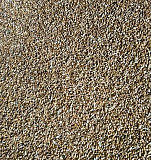 Продается зерно - пшеница, ячмень Сеченово