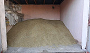 Пшеница Юровка