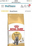 Корм Royal Canin для британцев Орел