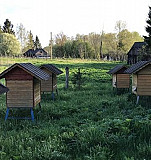 Ульи-лежаки на 25 рамок с пчелосемьёй Смоленск