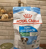 Корм для щенка royal canin Самара