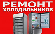 Ремонт холодильников на дому Вырица