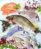 Рыба и морепродукты Краснодар