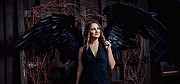 Крылья ангела в аренду Белгород