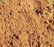 Песок Рощино