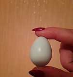 Перепелята, инкубационное яйцо Урай