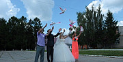 Пара белых почтовых голубей на свадьбу Балабаново