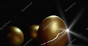 Яйцо инкубационное из Европы Кобб-500, индейка, ут Москва