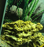 Песчаник для аквариума Уфа