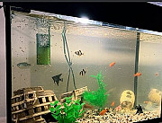 Продам аквариум Старый Оскол