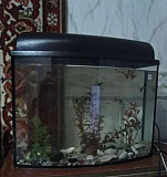 Аквариум с рыбками "гуппи" 30 литров Тольятти