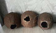 Декор-кокос натуральный Новосибирск