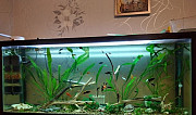 Украшение для аквариума Зеленокумск