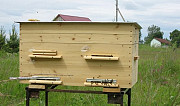 Продам пчелосемьи Остров