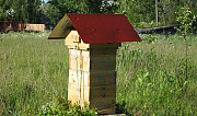 Продам пчелосемьи Остров