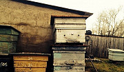 Продам улья и ловушки для пчёл Большая Соснова