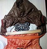 Курточка для собачек Саратов