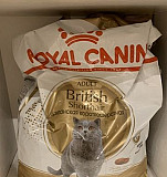 Корм для котов «Royal Canin British” Москва