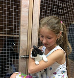 Зоогостиница передержка для кошек и собак Новосибирск