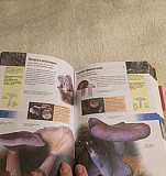 Книга про все виды грибов Москва