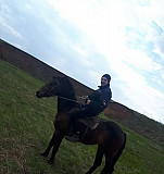 Кобыла(лошадь) Мамадыш