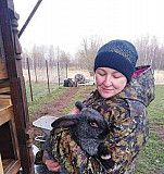 Кролики мясных пород Москва