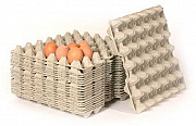Линия для производства бугорчатых прокладок для яиц（боксов） UEruemqi