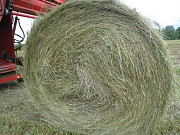 Хорошее сено в рулонах луговое пойменное Чебоксары