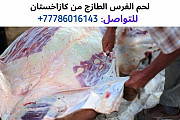 لحم الفرس من كازاخستان، واتساب للتواصل: 0077786016154 Абу-Даби