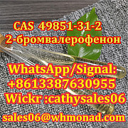 Elegram:cathysales06 CAS 49851-31-2 2-Bromo-1-Phenyl-1-Pentanone Винница