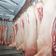 Производство мяса в ассортименте, продажа оптом Пушкино