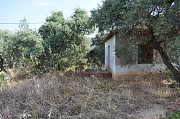 Земельный участок с оливковых дерева в районе Скала Сотирос Комотини