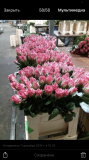 Работа и вакансии на цветочном производстве в Голландии Познань