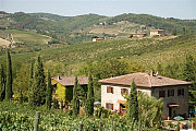 Ферма на холмах кьянти, провинции Флоренции на продажу Флоренция