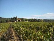 Продается красивый винный завод на холмах кьянти Siena