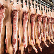 Говядина, свинина, мясо ЦБ, отгрузка в регионы доставка из г.Протвино