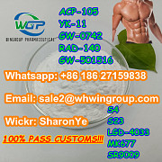 8618627159838 Sarms Powder Steriod Powder Bodybuilding Muscle Growth with Good Price Лондон