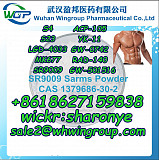 8618627159838 Sarms Powder Steriod Powder Bodybuilding Muscle Growth with Good Price Лондон