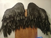 САМАРА. Продаю большие черные крылья, материал - изолон. Это не картон. Самара