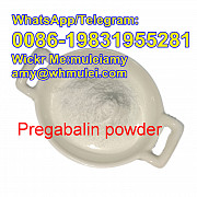 Pregabalin lyrica powder china lyrica supplier pregabalin manufacturer, Whatsapp:0086-19831955281, Москва